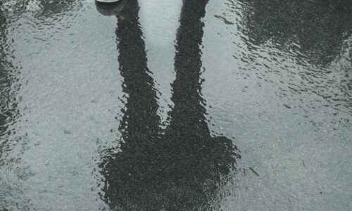 Puzzle Books Free Shipping Illusion:Here is the Truly No-Shipping