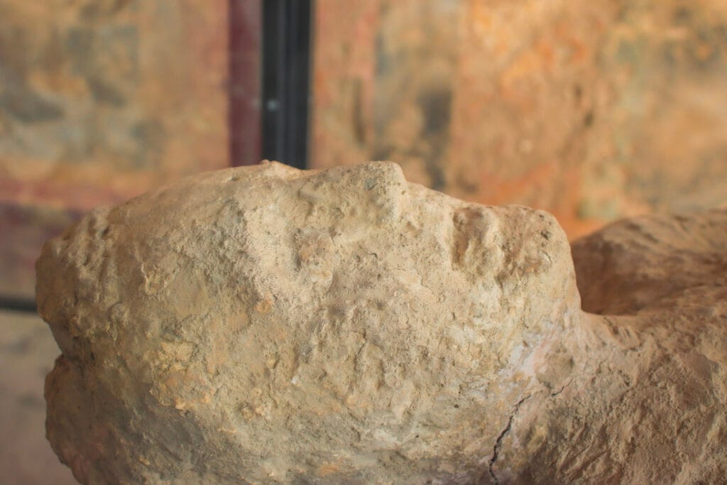Close-up of a weathered, rough-textured rock with a reddish-brown background. The rock's uneven surface suggests erosion or natural wear.