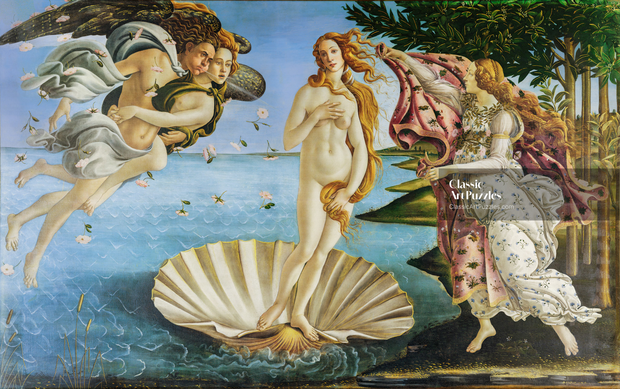 The Birth of Venus - Botticelli