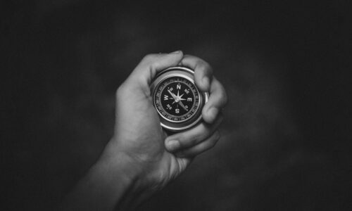 Best Spot the Difference Books: Your 2026 Guide to Observation Fun